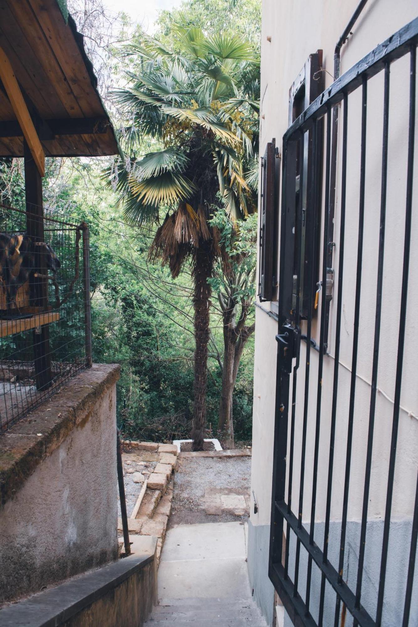Home Peterpan, B&B Direttamente Sulla Piazza Casal Fiumanese Bagian luar foto